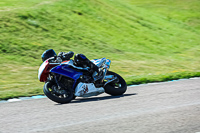 enduro-digital-images;event-digital-images;eventdigitalimages;lydden-hill;lydden-no-limits-trackday;lydden-photographs;lydden-trackday-photographs;no-limits-trackdays;peter-wileman-photography;racing-digital-images;trackday-digital-images;trackday-photos